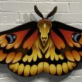 Gregory Sheep Moth