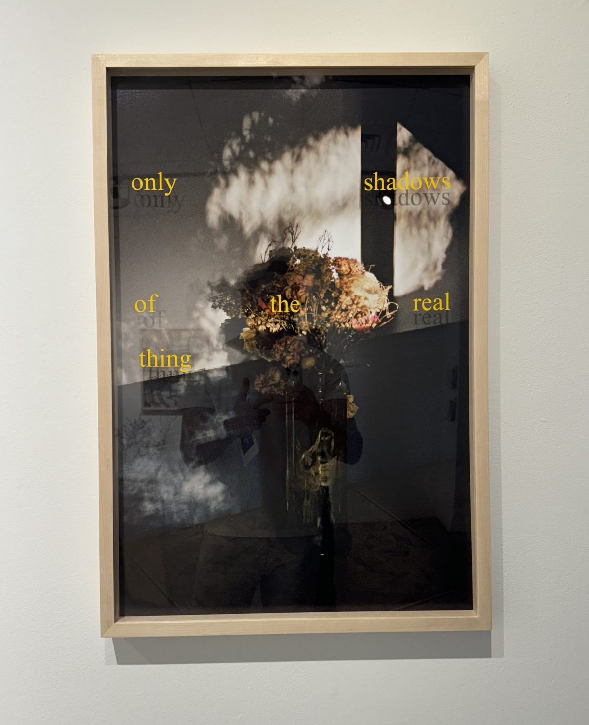 Framed photograph of dried flowers casting shadows on a surface with superimposed text reading 'only shadows of the real thing.