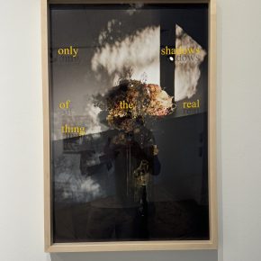 Framed photograph of dried flowers casting shadows on a surface with superimposed text reading 'only shadows of the real thing.