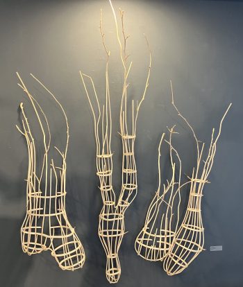 A wall-mounted installation of organic, cage-like wooden forms resembling roots or botanical structures, made from bent branches and natural elements.