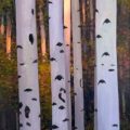 Aspens_With_A_Shot_Of_Light_36x72