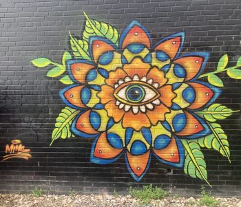 A vibrant mural of a stylized flower with layered orange and blue petals and a large central eye, painted on a black brick wall. Green leaves extend from the design, and the artist’s signature “MINS” is visible in orange.