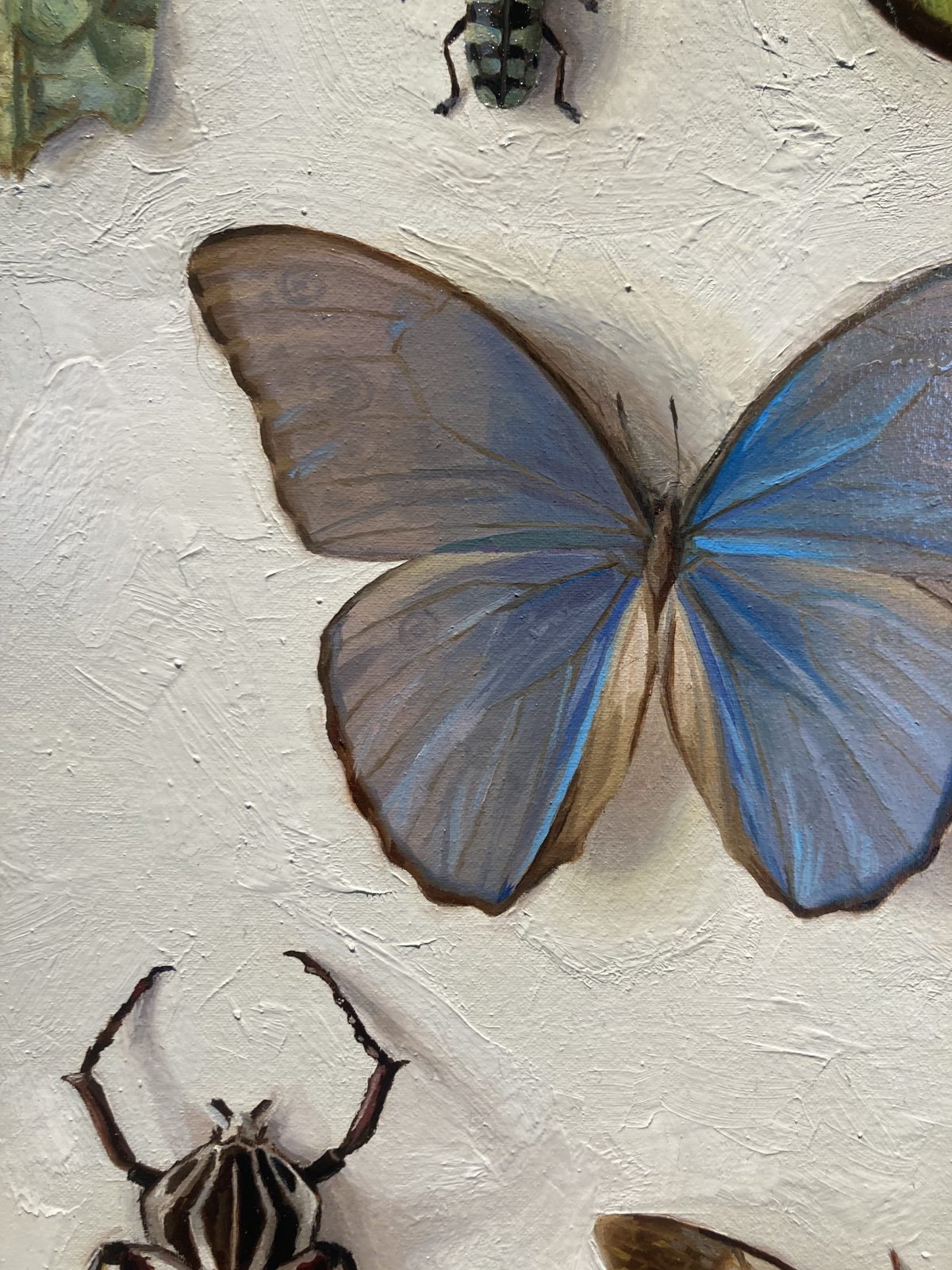 Close-up of a blue butterfly painted by Nicole Parish, showing intricate detail in the wings and lifelike coloration against a textured off-white background.